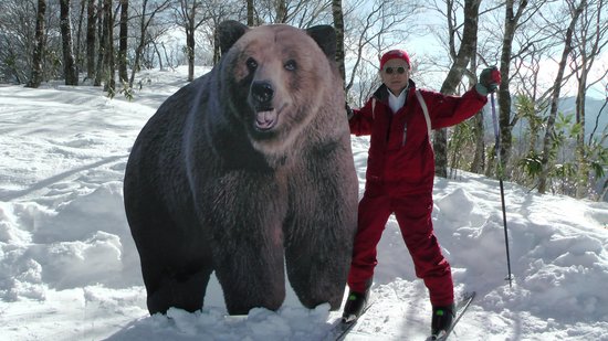 クワッド降りたら熊さんが居たよ。 - 郡上市、ホワイトピアたかす