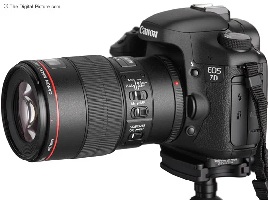 Canon EF 100mm f/2.8L IS USM Macro Lens Review