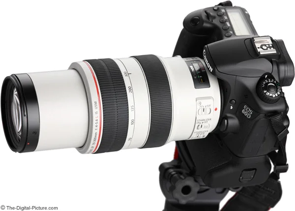 Canon EF 70-300mm f/4-5.6L IS USM Lens Review