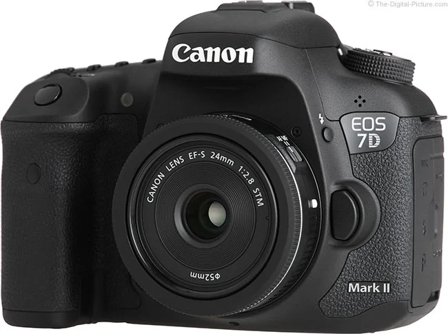 Canon EF-S 24mm f/2.8 STM Lens Review