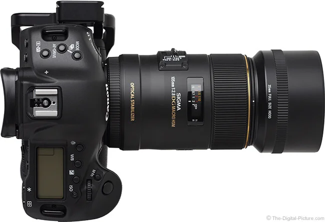 Sigma 105mm f/2.8 EX DG OS HSM Macro Lens Review