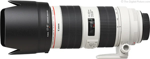 Canon EF 70-200mm f/2.8L IS III USM Lens Review