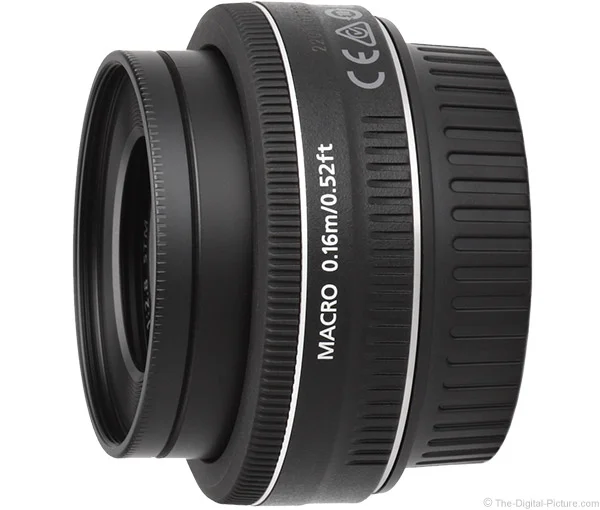 Canon EF-S 24mm f/2.8 STM Lens Review