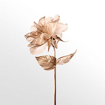 オンライン限定】ティファニー ローズゴールド オー ドパルファム 1.6