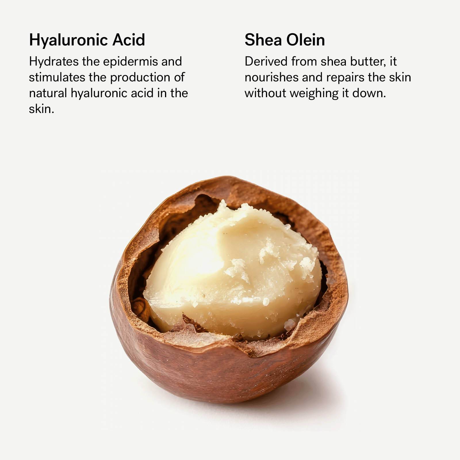 ナリッシング モイスチャライザー — Typology