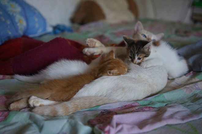 コレクターズアイテムと名高い、ゴーシャ ラブチンスキーの最新写真集