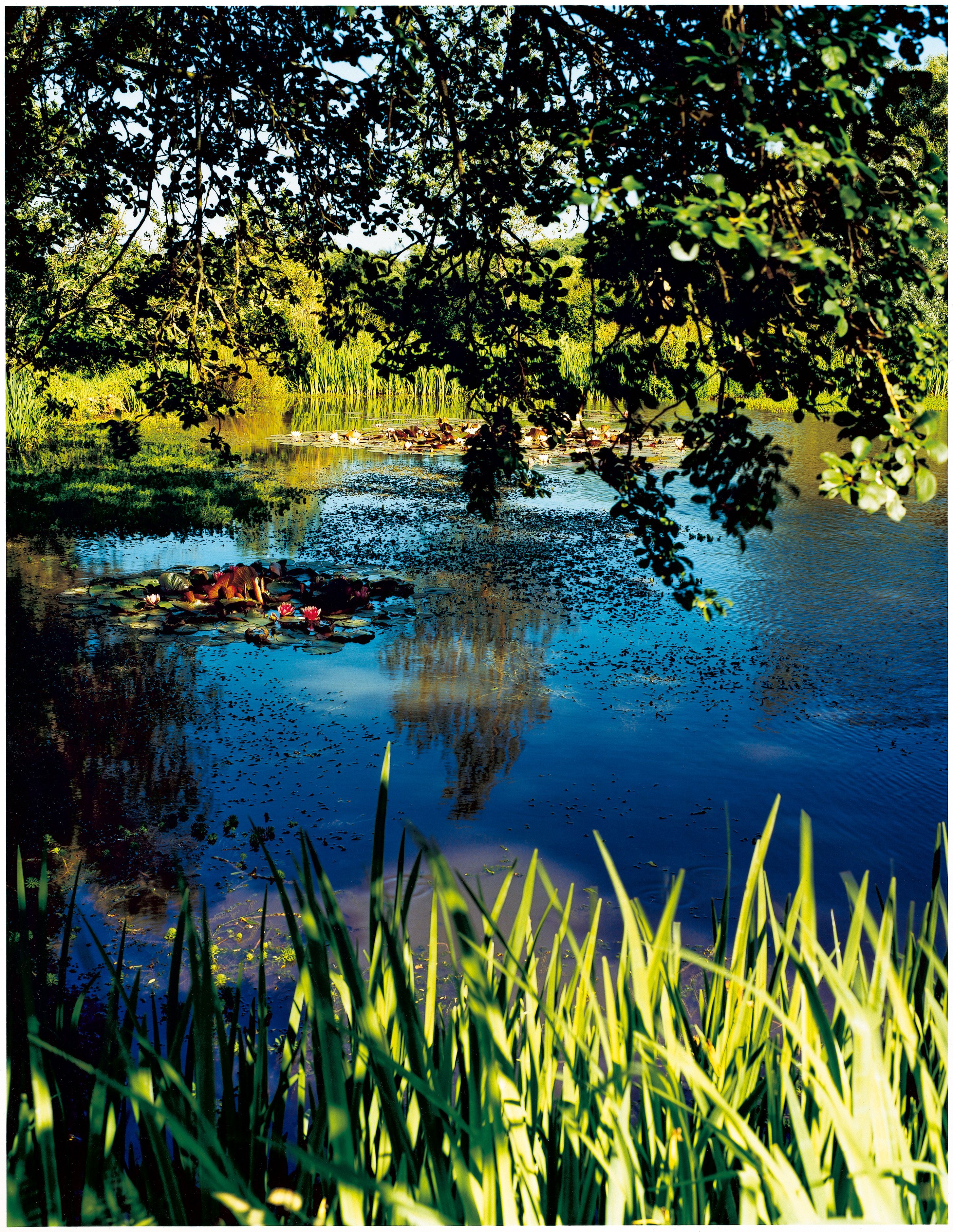 眺めるだけで旅をしている気分に。写真家・戎康友が『みどりの王国』で