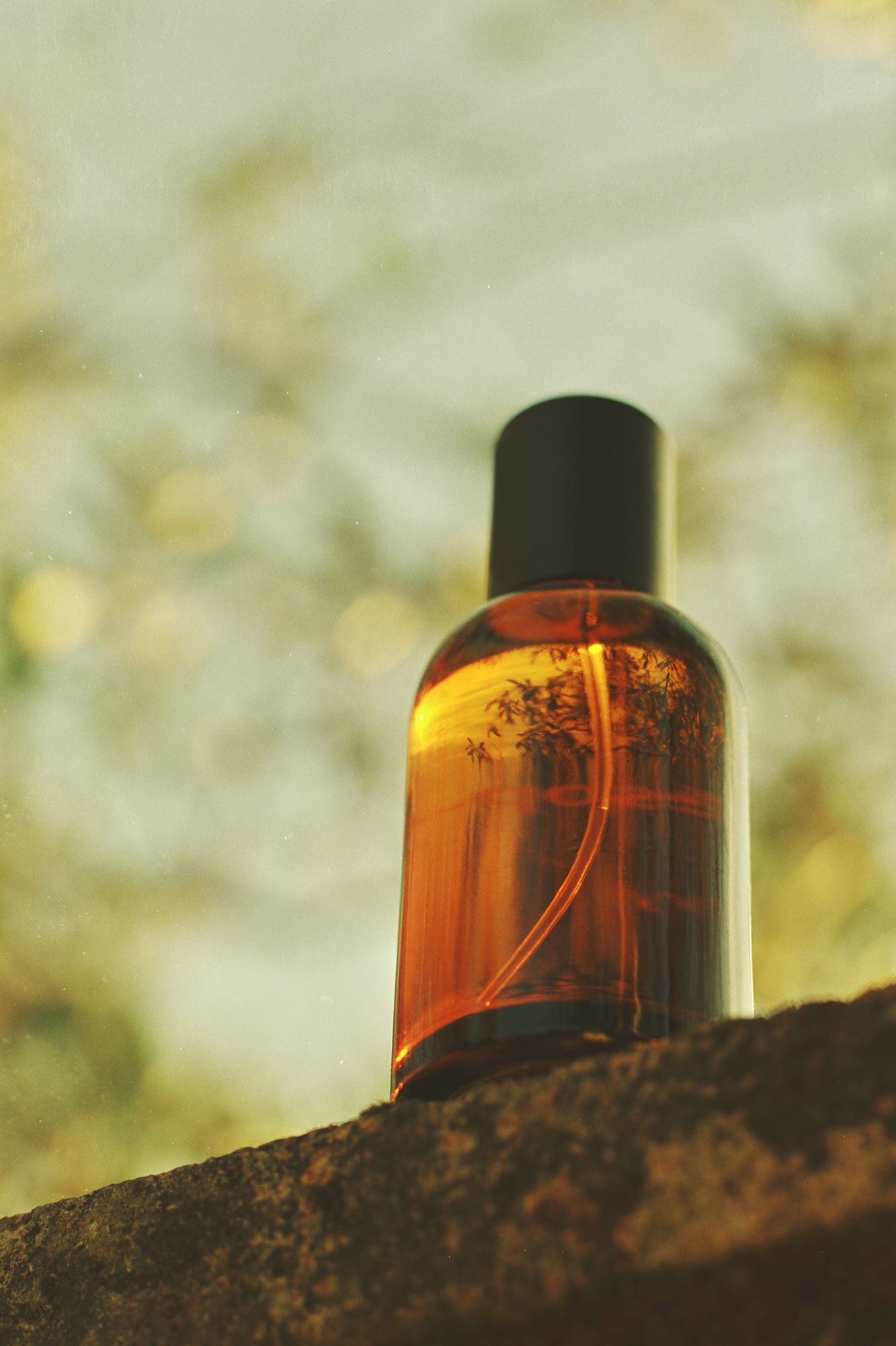 イソップが11作目のフレグランスを発表。その誕生を祝したイベントを