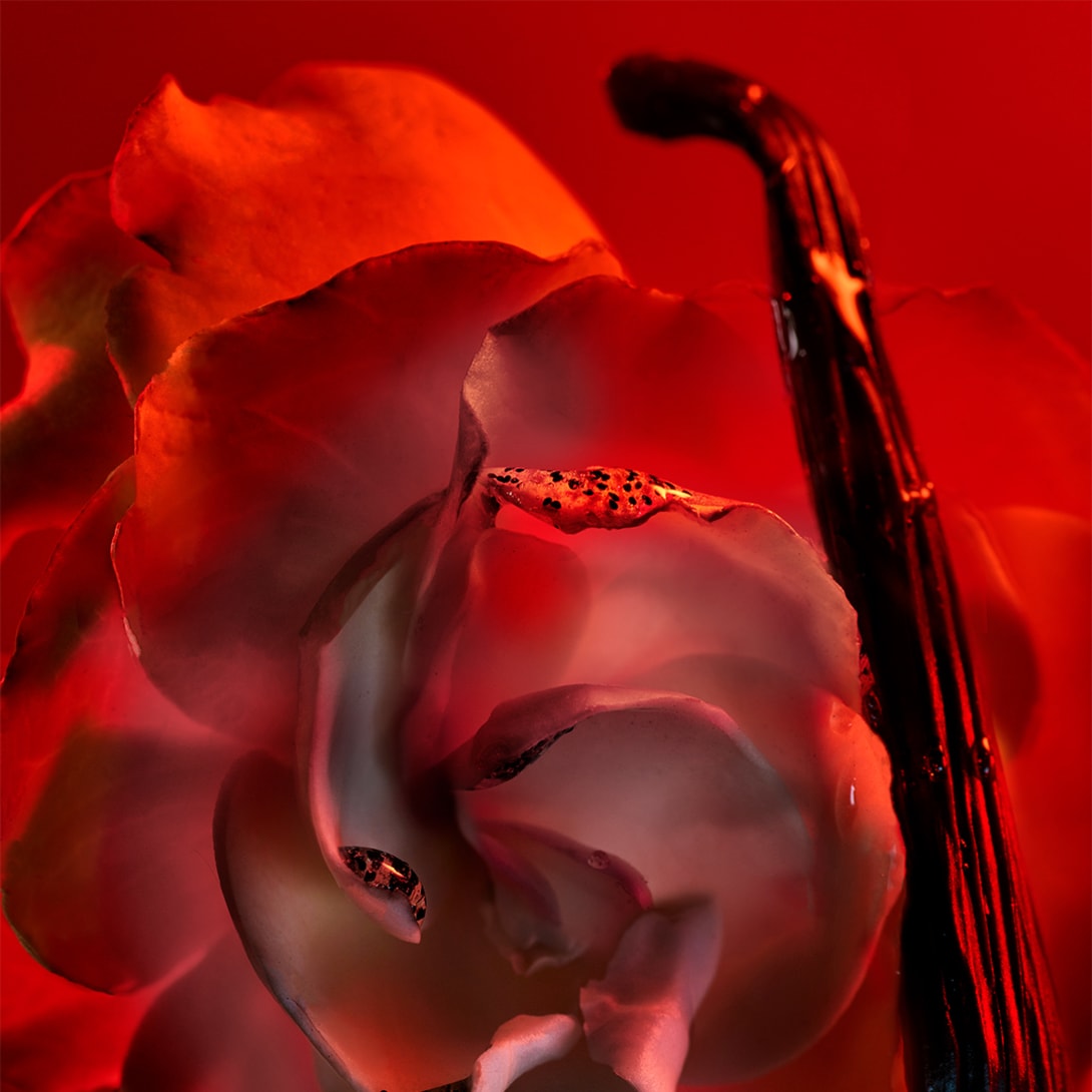 ブルガリ アレーグラ バチアーミ オードパルファム 3.4 oz/100 ml