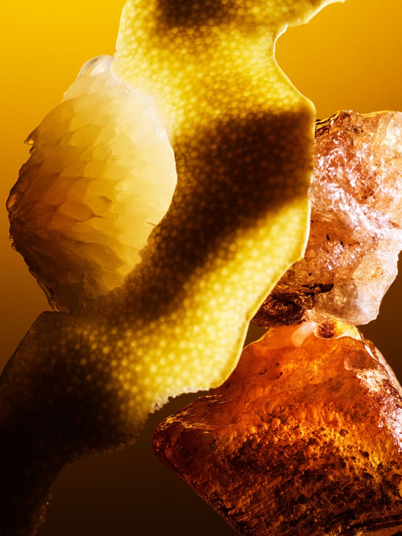 Le Gemme Fragrance Collection For Women And Men | Bvlgari Official