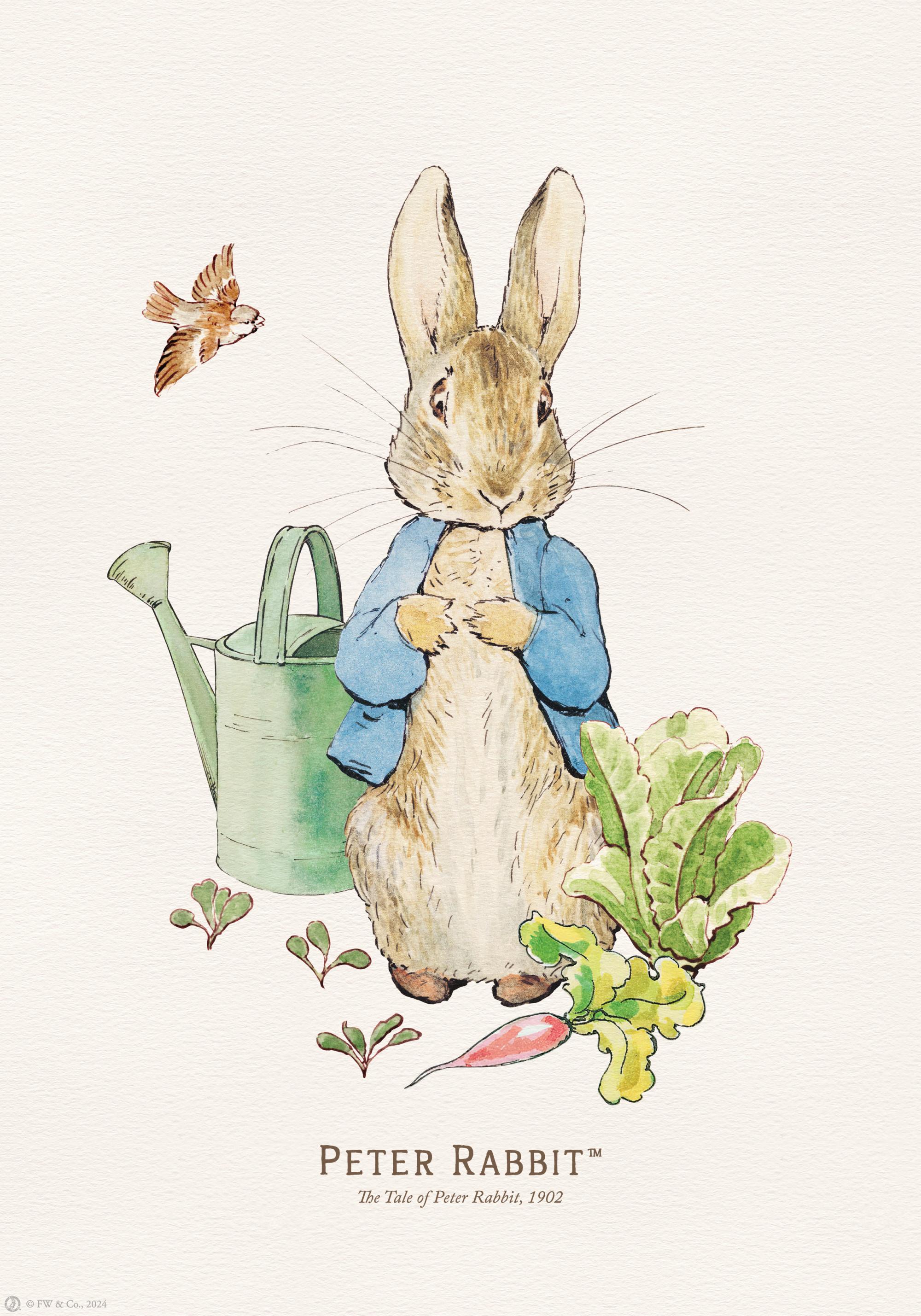 Peter Rabbit Illustration Print