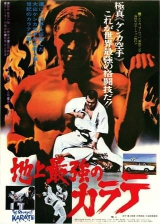 地上最強のカラテ : 作品情報・キャスト・あらすじ - 映画.com