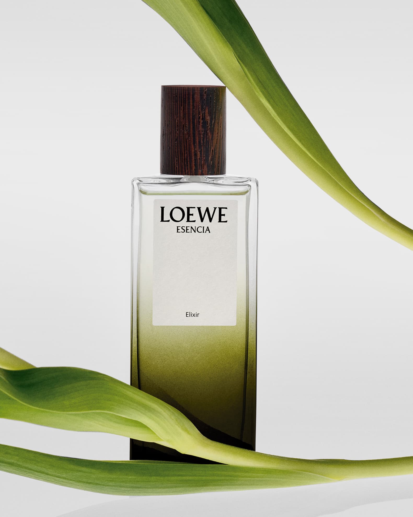 Loewe LOEWE Esencia Elixir Eau de Parfum, 3.3 oz. | Neiman Marcus