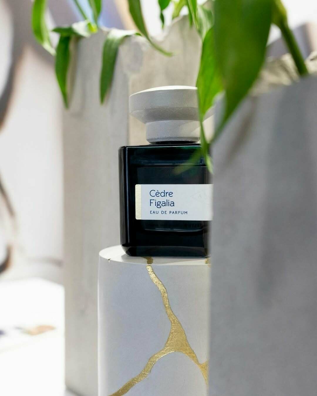 Cèdre Figalia by Atelier Materi » Reviews & Perfume Facts