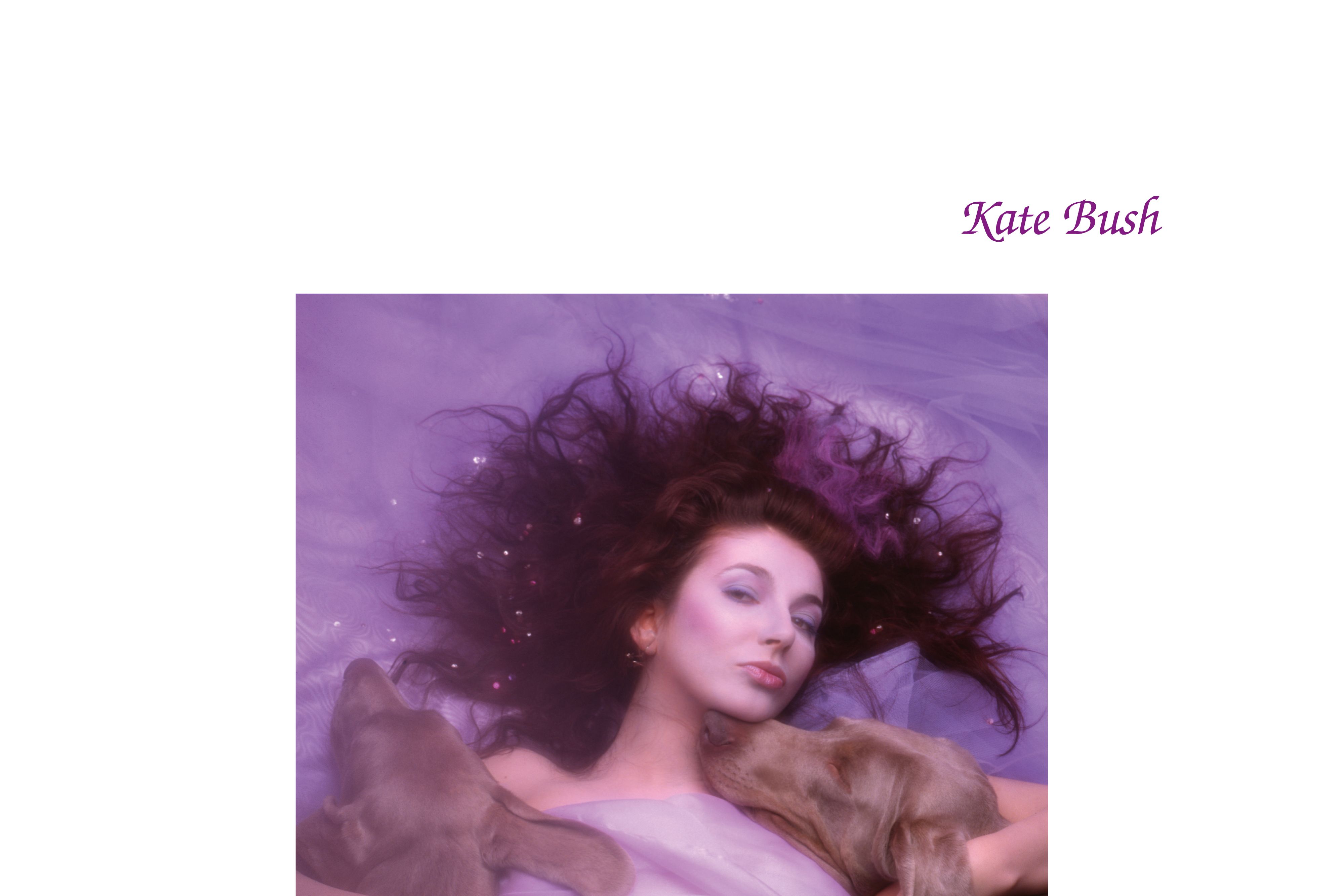 Kate Bush: Hounds of Love Album Review | Pitchfork