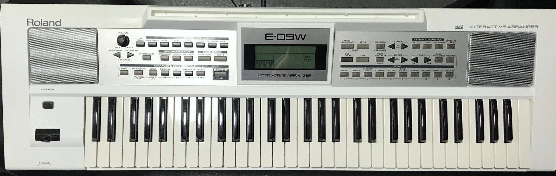 Roland E-09W 61-Key Keyboard (Used) - 890313