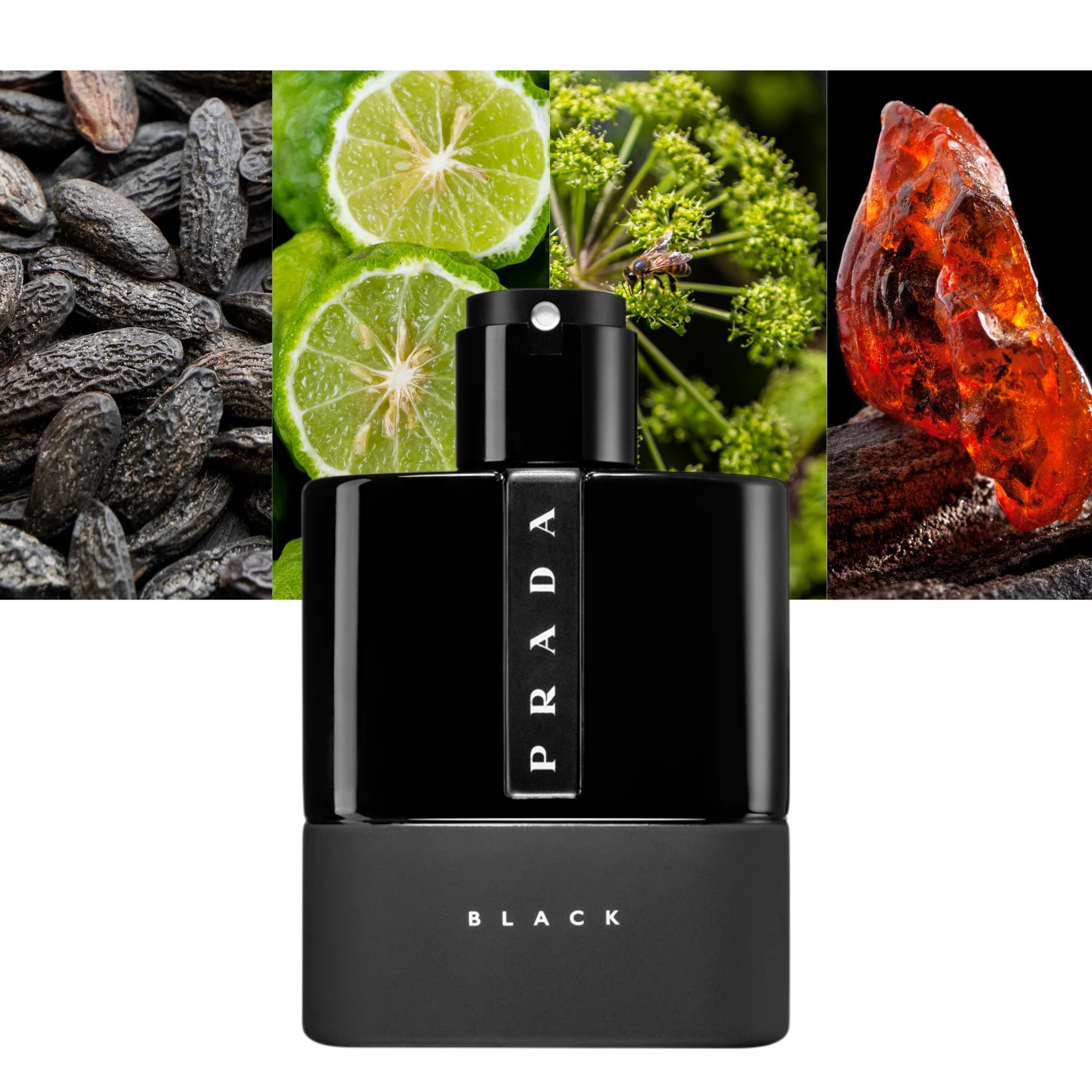 Prada Black Pour Homme 3.4oz|MaxAroma.com