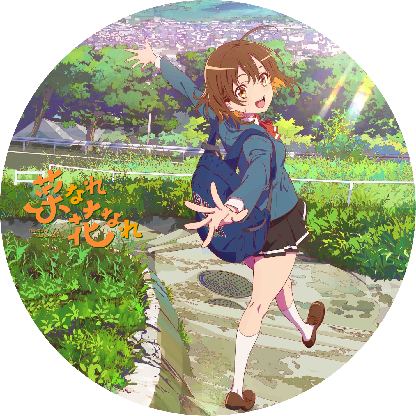 菜なれ花なれ ” の DVDラベルです | meechanmama(みーちゃんママ)の部屋