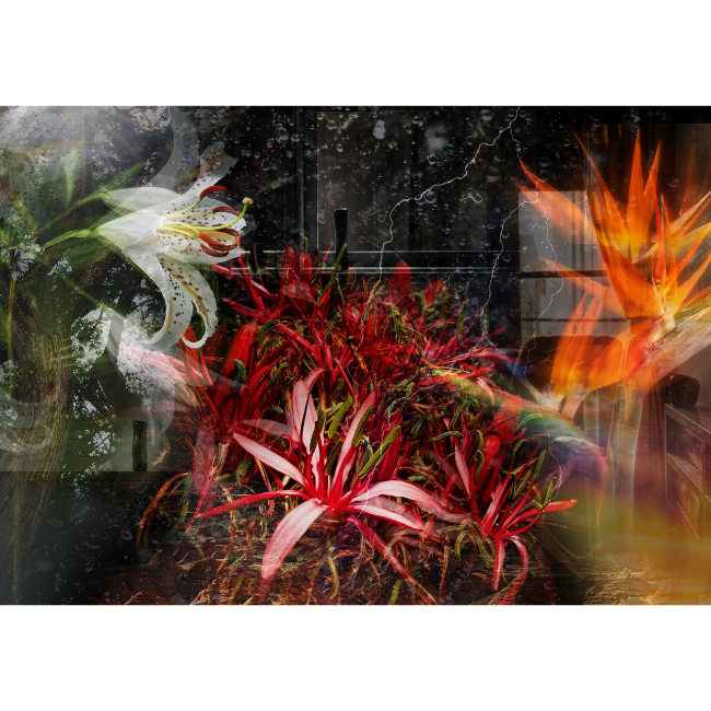 POLA＞B.A 第7世代 先行発売イベント-Timeless possibilities-