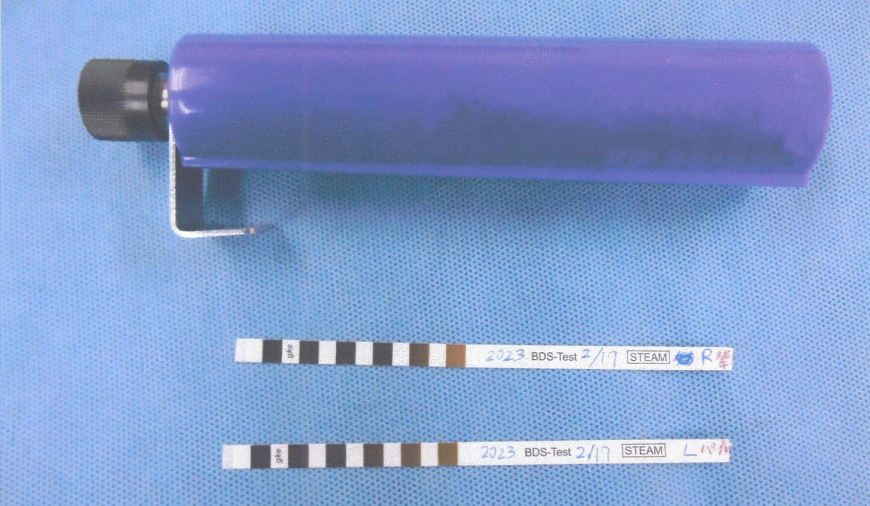 ボウィー・ディックテストとは？ガイドラインの記載内容や実施方法