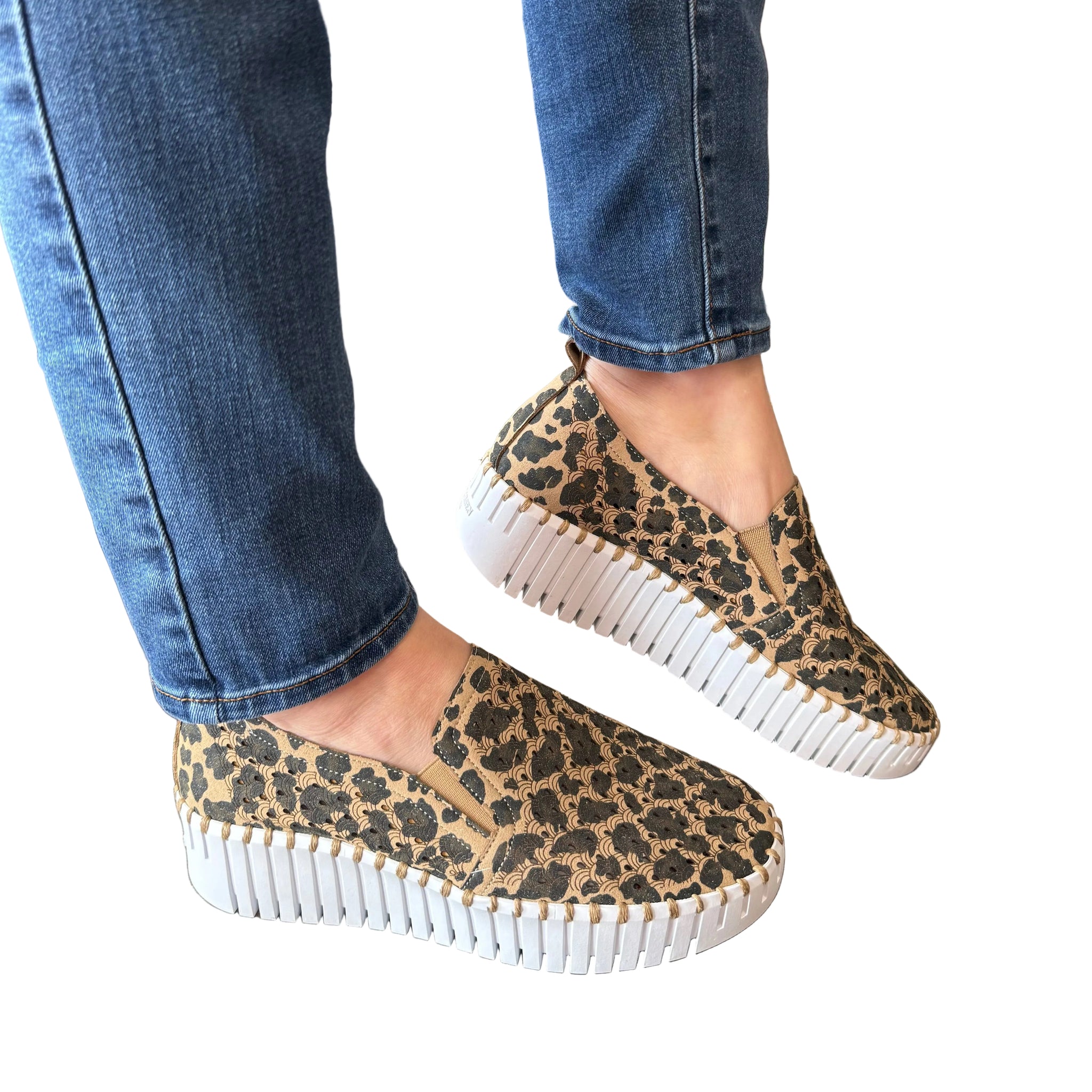 FullSizeRender_805d75ee-0a78-