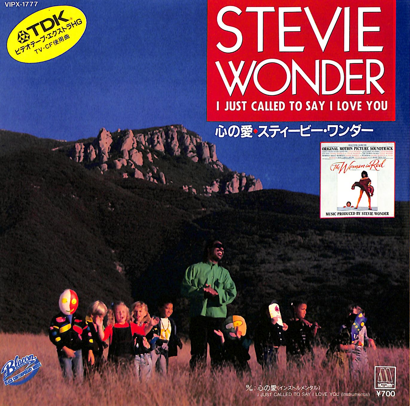 芽瑠璃堂 ＞ スティービー・ワンダー 『(中古盤) 心の愛 / インス