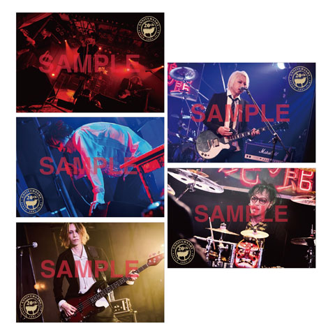 Strip | メリー Official Website