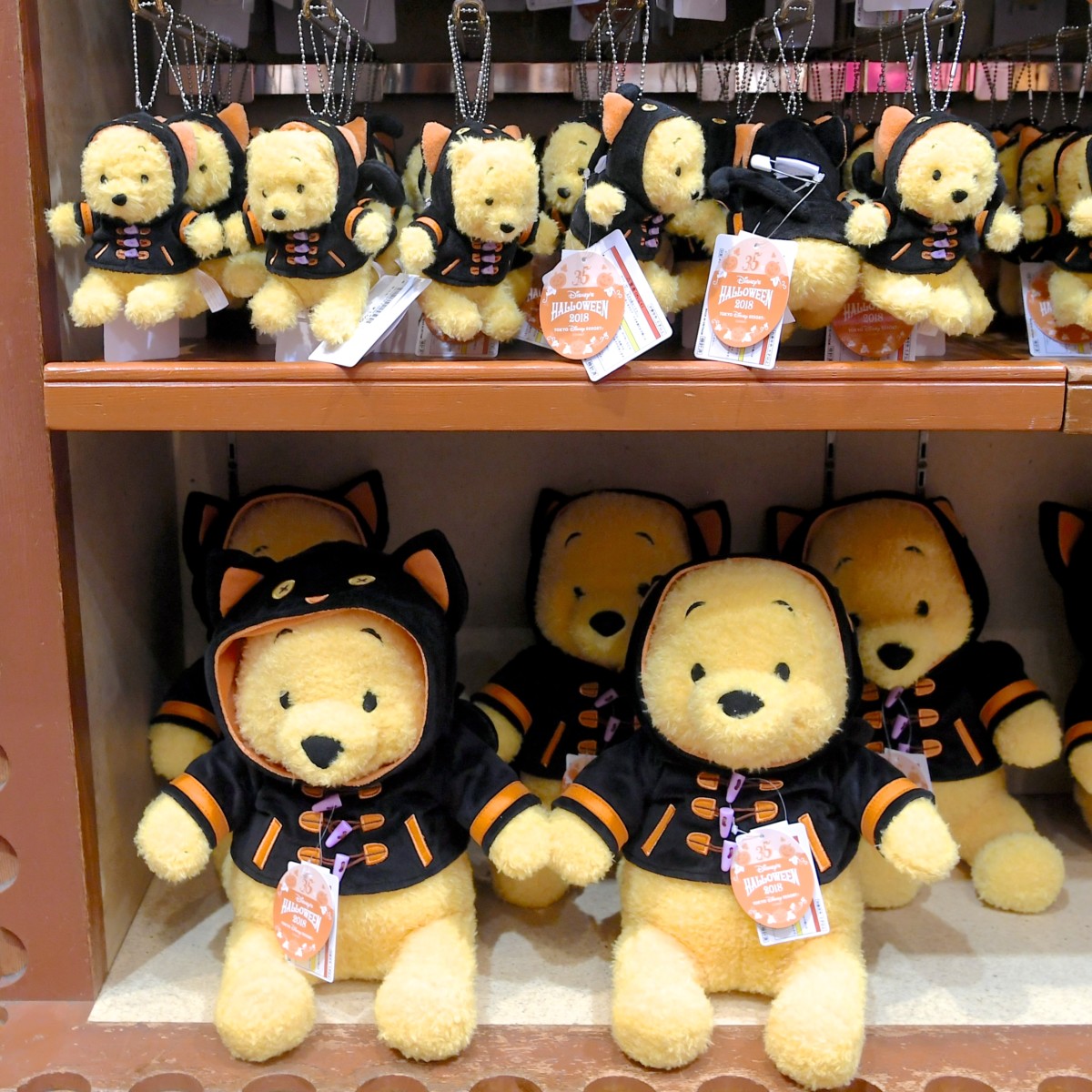 猫ちゃん風コスチューム！東京ディズニーランド“ディズニー