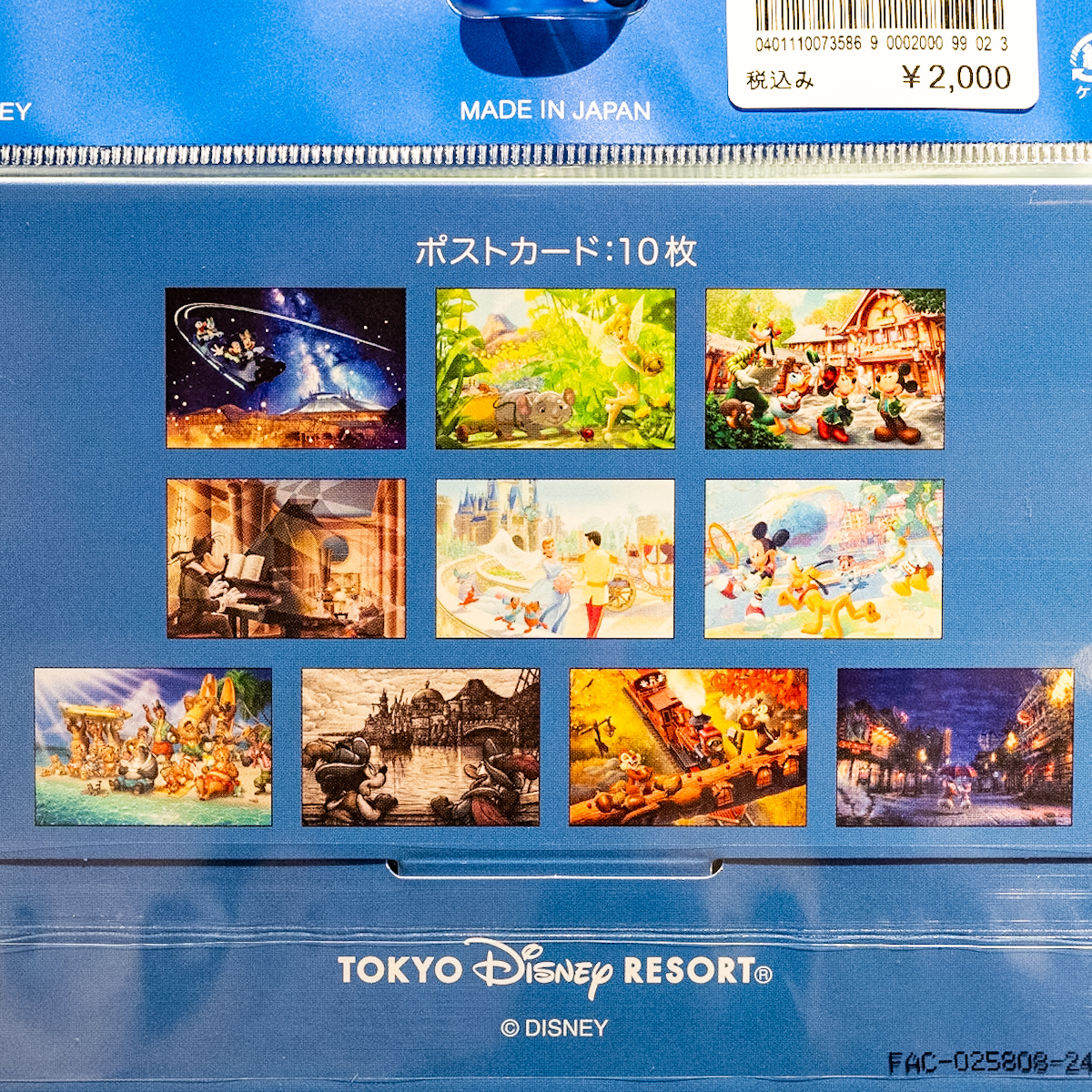 ファンタジースプリングスデザインも！東京ディズニーランド ポスト