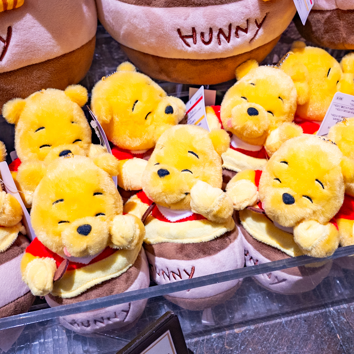 はちみつの壺に入ったプー！東京ディズニーランド『くまのプーさん