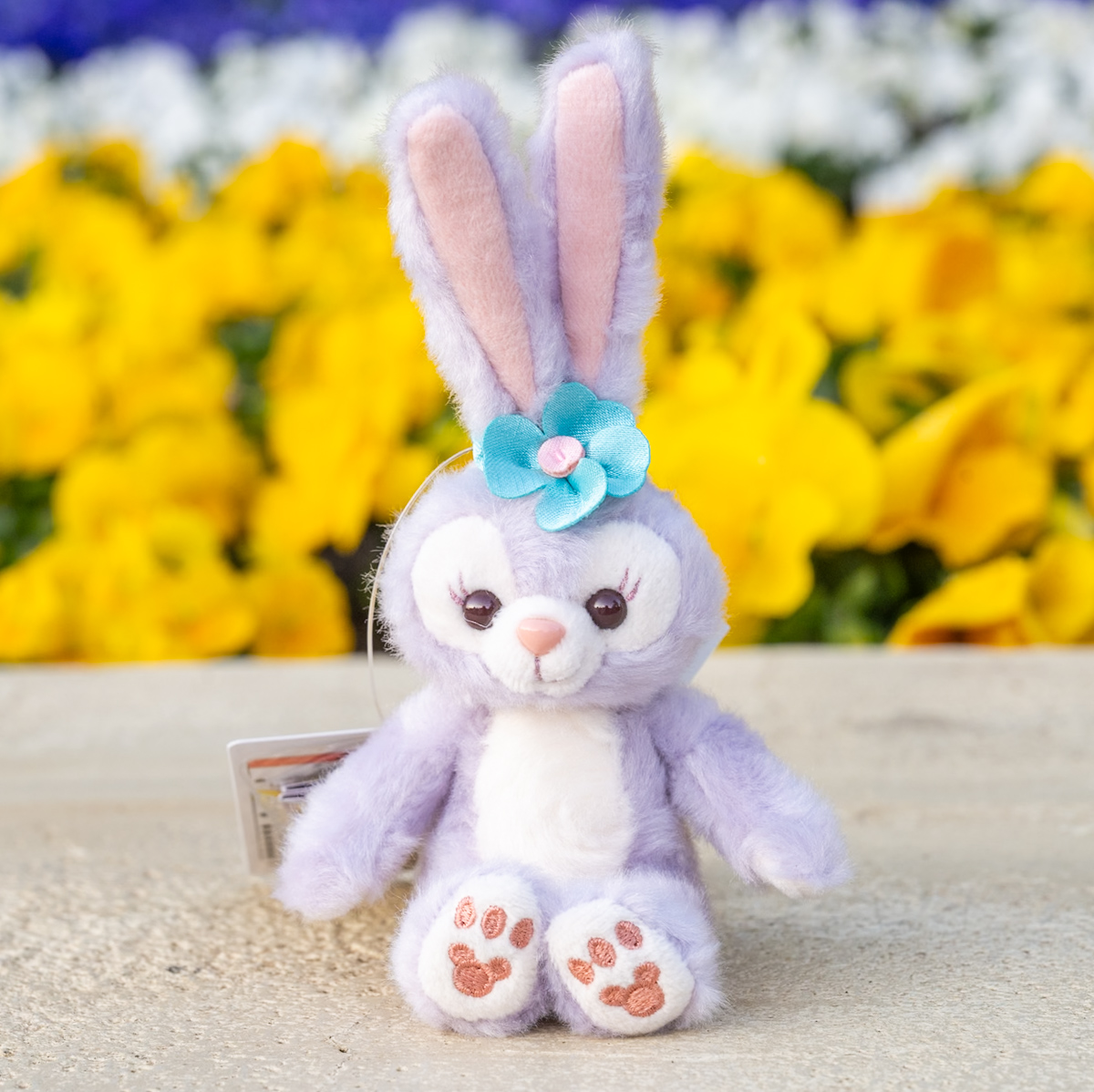 お土産におすすめ！東京ディズニーシー「ダッフィー＆フレンズ