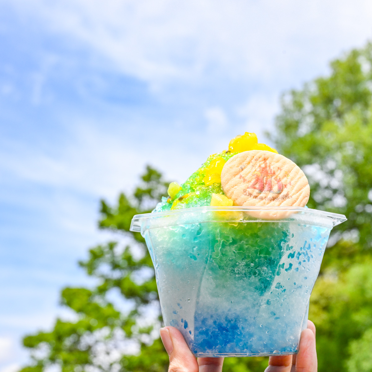 東京ディズニーリゾート40周年”ドリームゴーラウンド”デザイン！東京