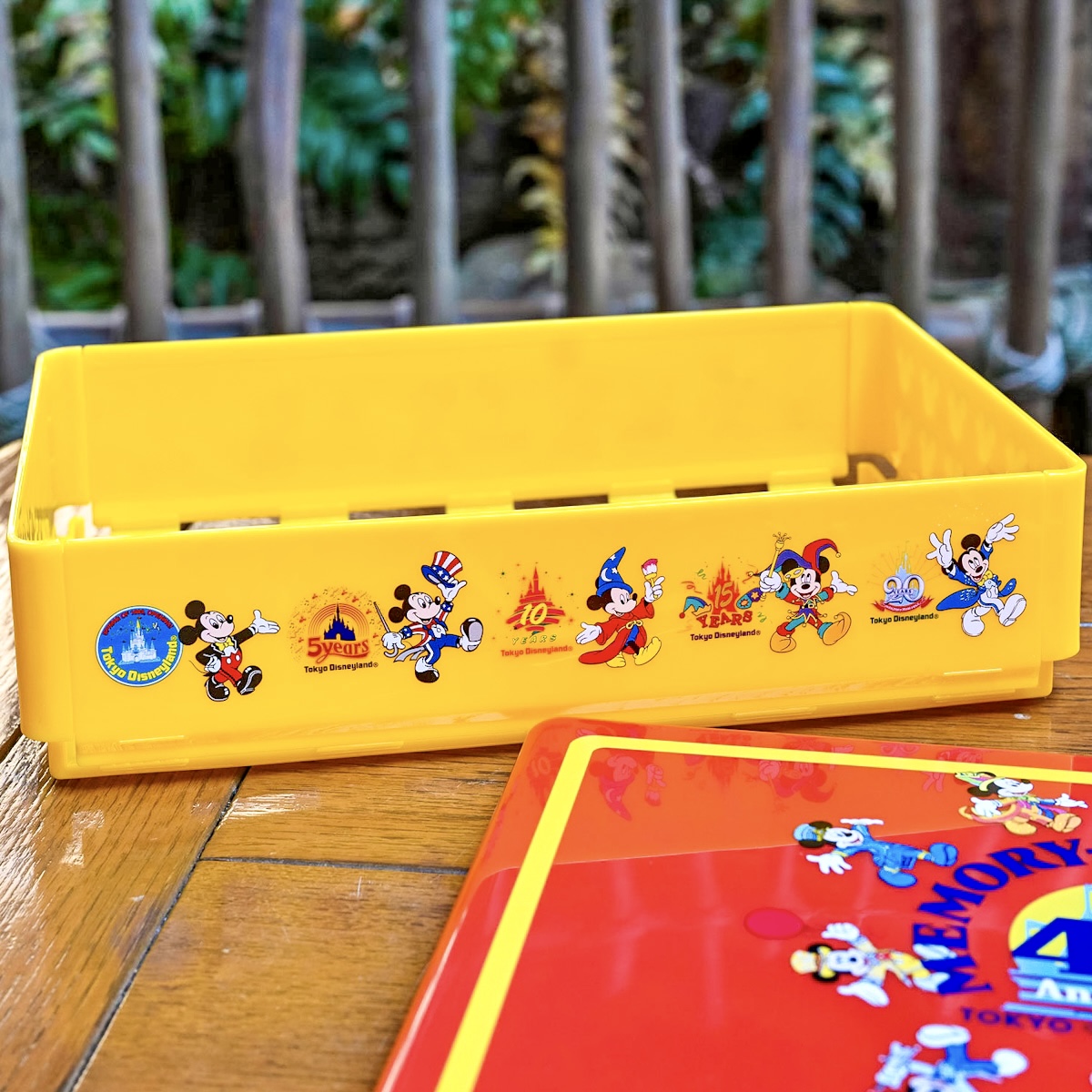 折りたためて便利！東京ディズニーランド「東京ディズニーリゾート40