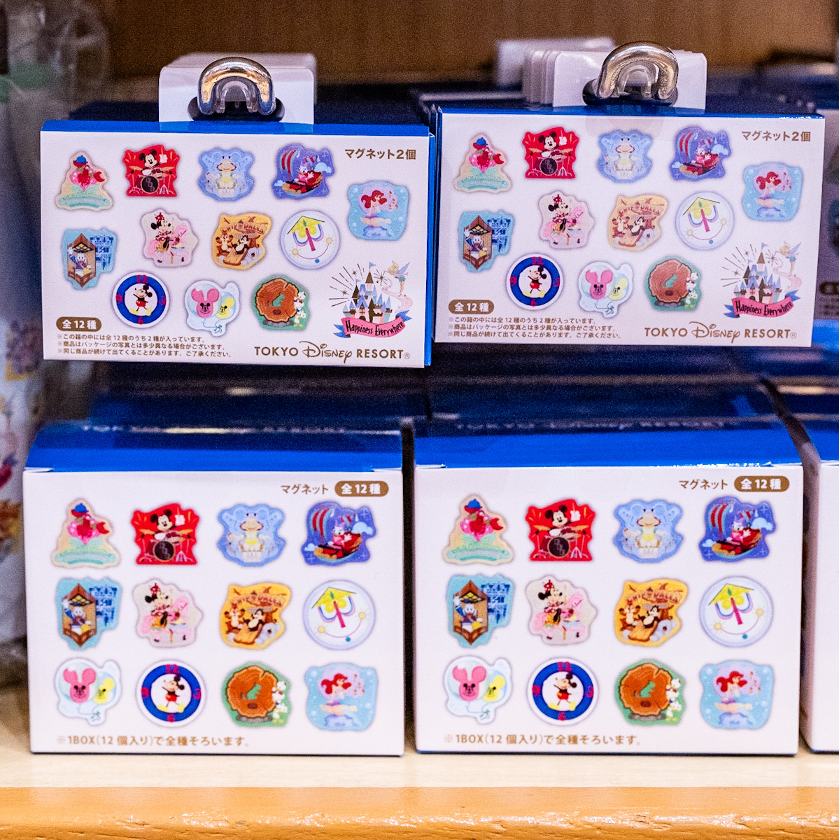 ブラインドマグネットも！東京ディズニーランド パークモチーフ