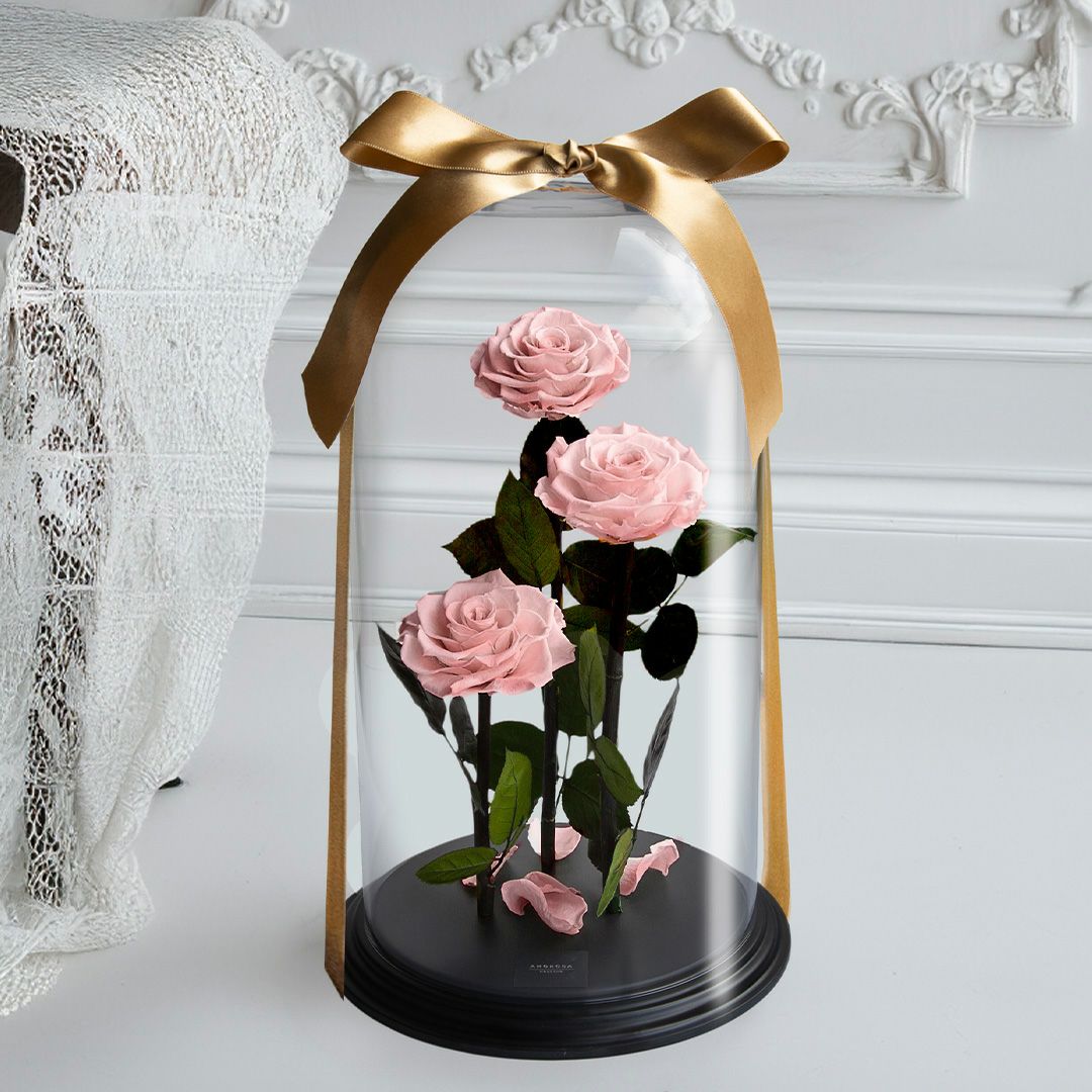 000000000436-01-m.jpg?t=