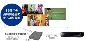 Amazon | パナソニック 15v型 液晶 テレビ プライベート・ビエラ UN