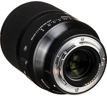 Amazon.com : 35mm F1.4 DG DN for Sony E Mount : Electronics