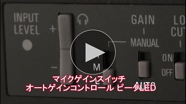 Amazon.co.jp: ZOOM ズーム ハンディビデオカメラレコーダー Q4 : 家電
