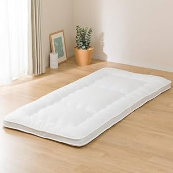 Amazon｜ニトリ(NITORI) 2枚合わせ羽毛&抗菌防臭寝具4点セット