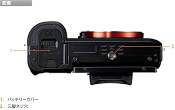 Amazon | ソニー SONY ミラーレス一眼 α7 ボディ ILCE-7 | ミラーレス