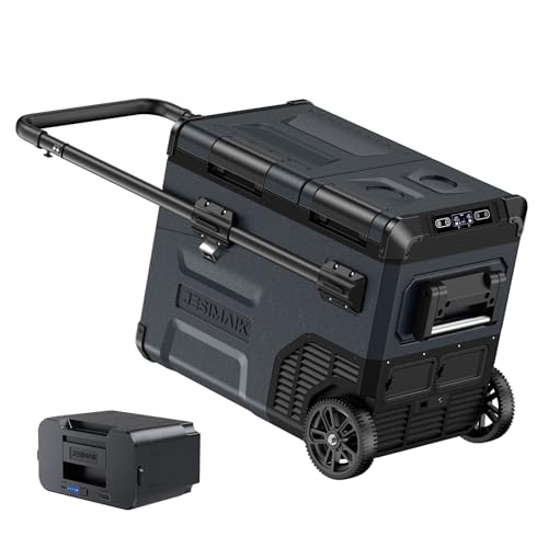 車載冷蔵庫 2室独立温度制御」の人気商品一覧 | 安い商品を通販サイト