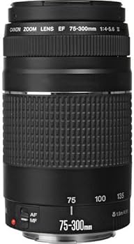Amazon.co.jp: キャノンEF 75-300mm f/4-5.6 III 望遠ズームレンズ