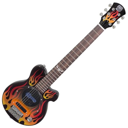 ピグノーズ ギター」の人気商品一覧 | 安い商品を通販サイトから探す