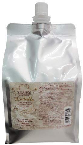 シャンプー ラデュラ」の人気商品一覧 | 安い商品を通販サイトから探す