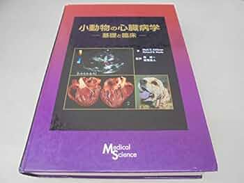 41wqDiItbaL._AC_UF350,