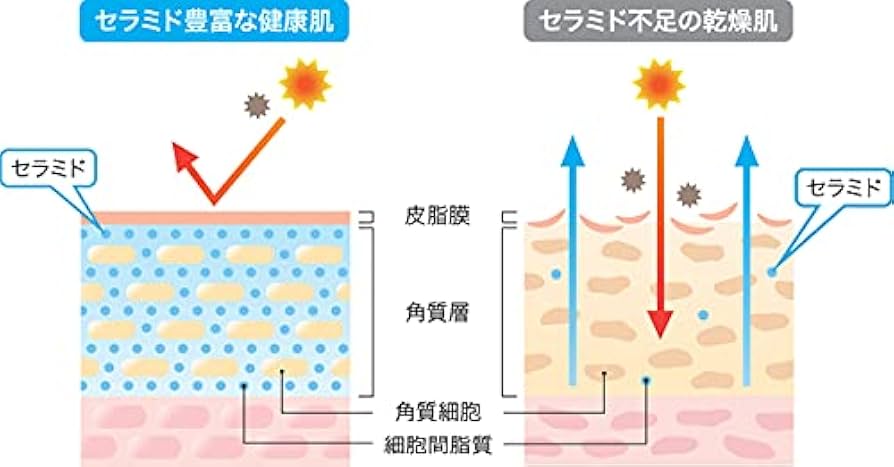 Amazon | サンミモレ 新スキンケアファンデーションR13号 ピンク系 新