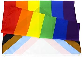 Amazon.com : Flaglink Wholesale 50 Pcs Progress Pride Flag 3x5 Fts