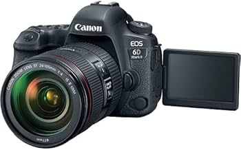 Amazon.com : Canon EOS 6D Mark II DSLR Camera with 24-105mm f/4L