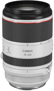 Amazon.com : Canon RF70-200mm F2.8 L is USM Lens, Mirrorless