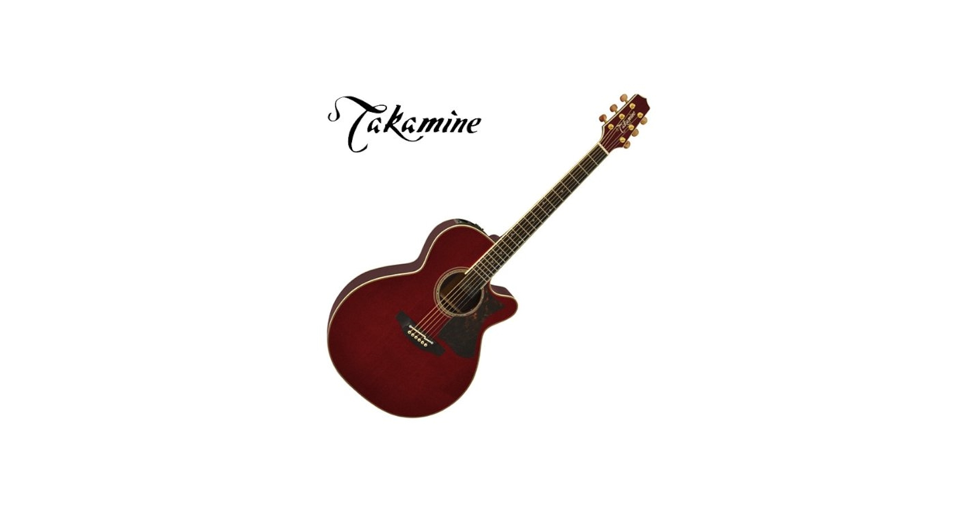 Amazon | Takamine DMP50S WR エレアコギター 島村楽器 x Takamine